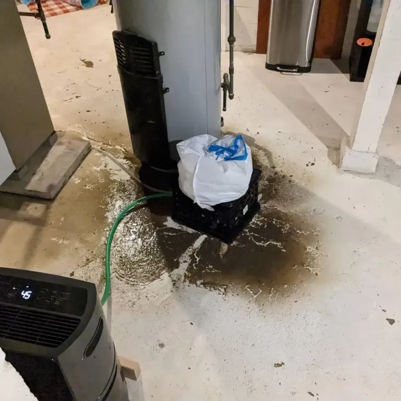Sewage Backup Cleanup Service in Whitley City, KY